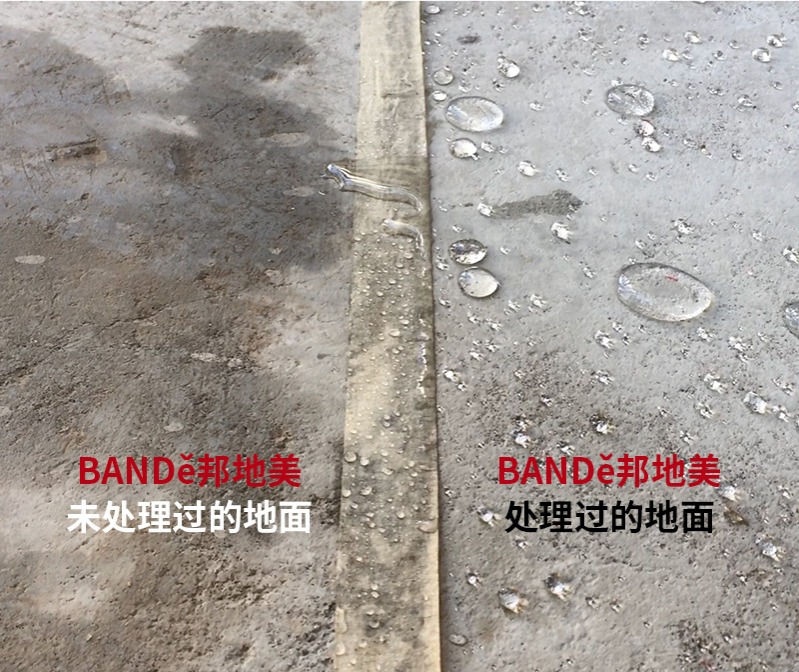 WPS图片(1)